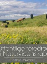 ofn