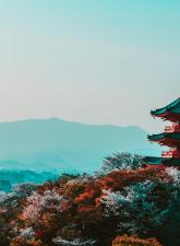 pexels-japan