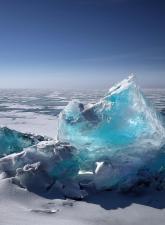 Climate Thursdays