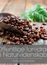 kaffe